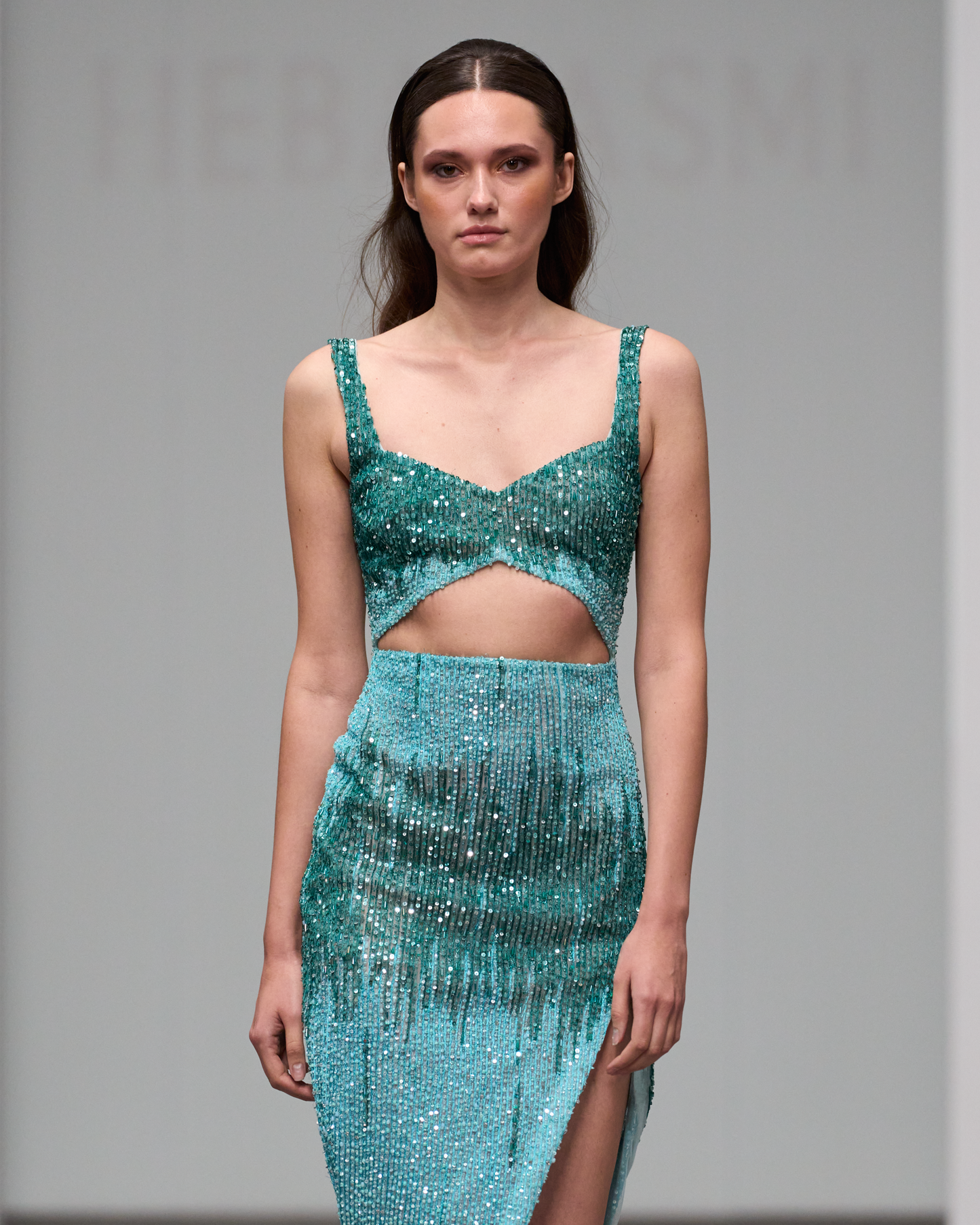 Maxi fitted dress with a V-neckline and embroidery - HJ 124